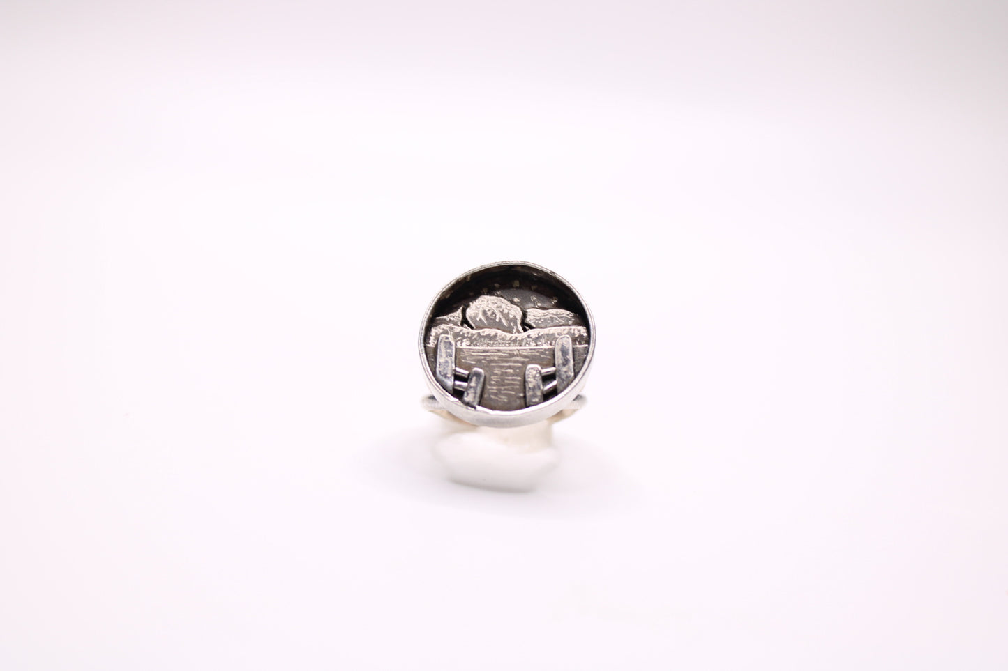 Midwinter; Boardwalk