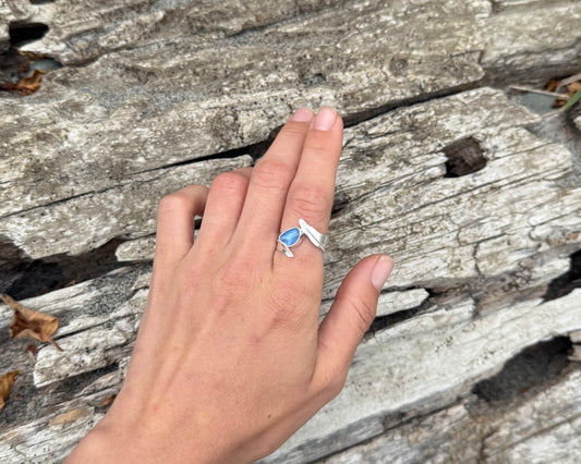 Kelp Garden-Cornflower