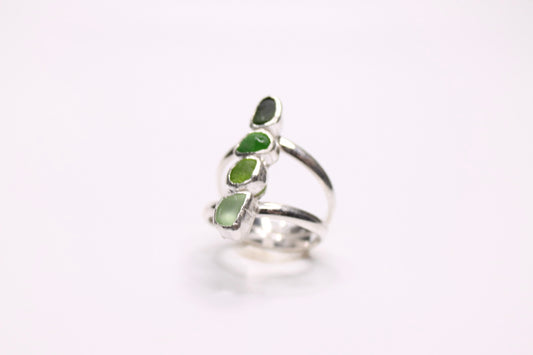 Midwinter; Kelp Forest